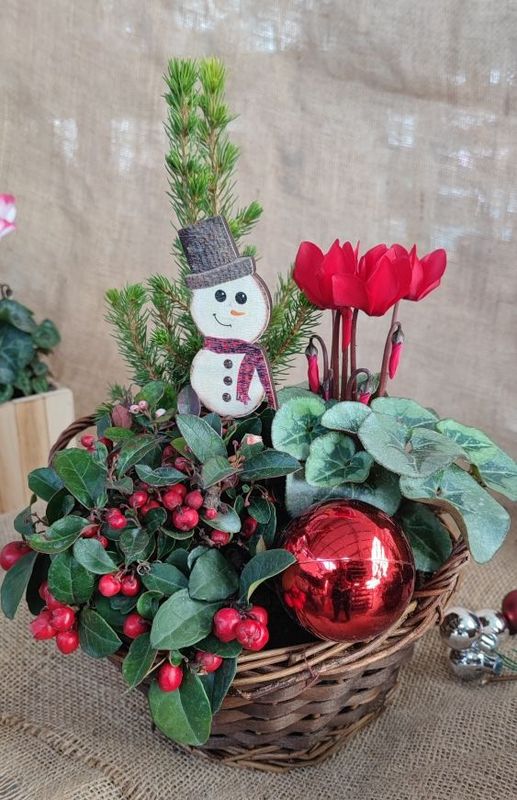 Composition de Noël, panier de Noël.