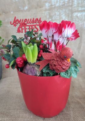 Composition de Noël, pot rouge. Composition de Noël, pot rouge.