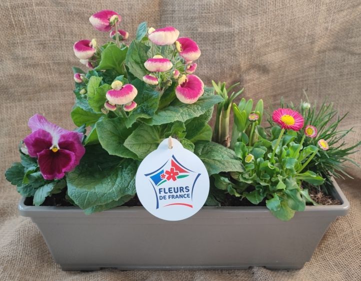 Jardinière de saison, 40 cm.