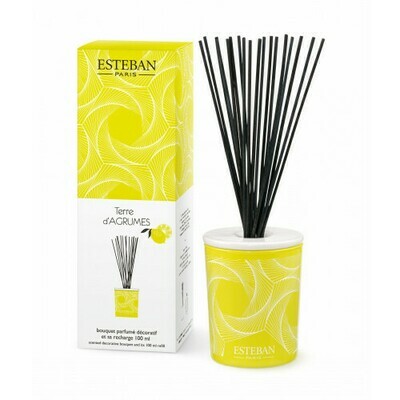 BOUQUET PARFUMÉ DÉCORATIF + RECHARGE 100 ML - TERRE D'AGRUMES