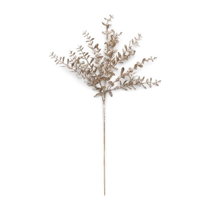 SPARKLING BRANCH