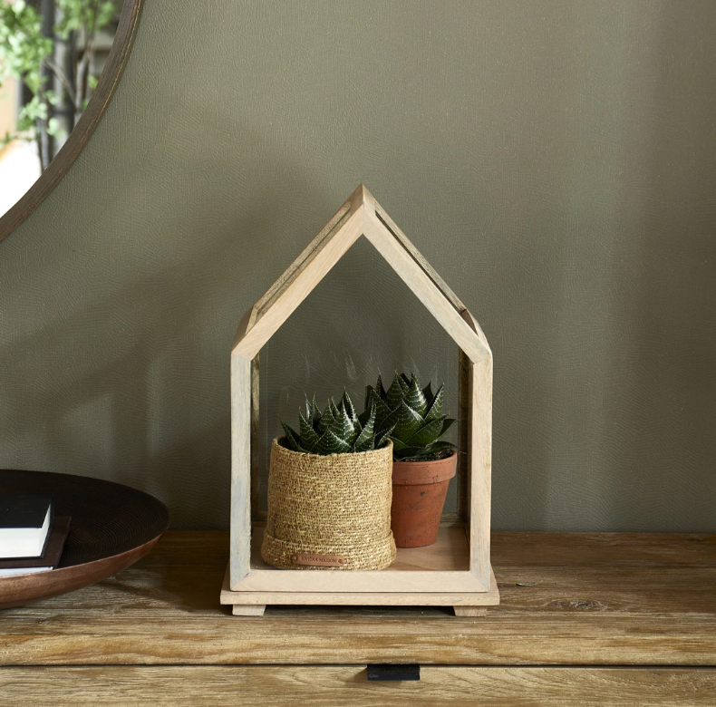 DE SALECCIA DISPLAY BOX S