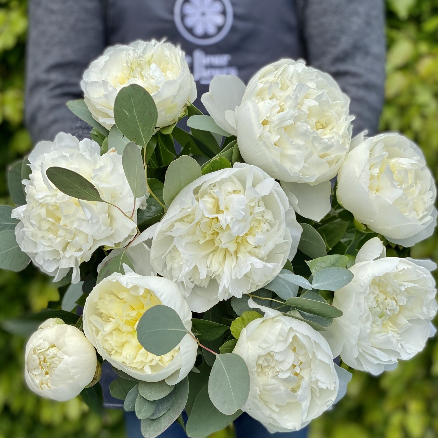Bouquet de pivoines blanches