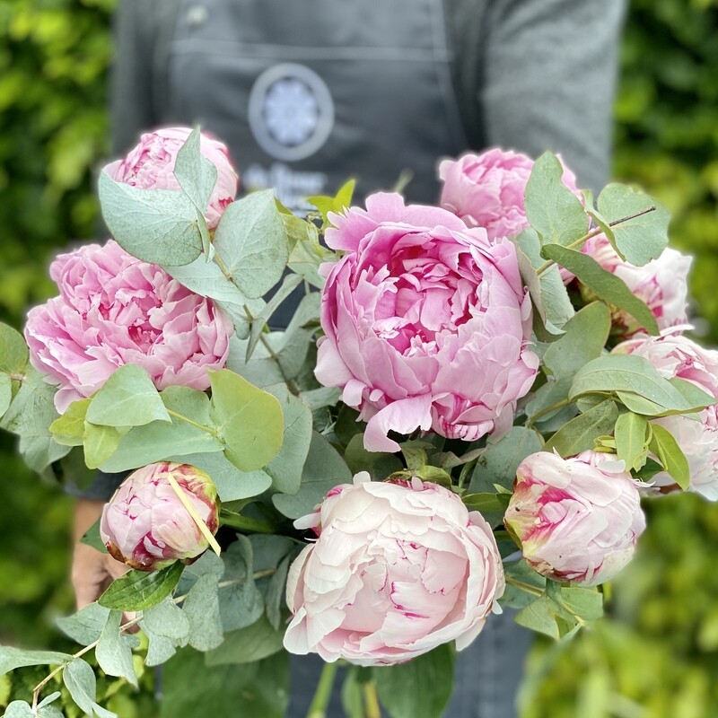 Bouquet de pivoines roses