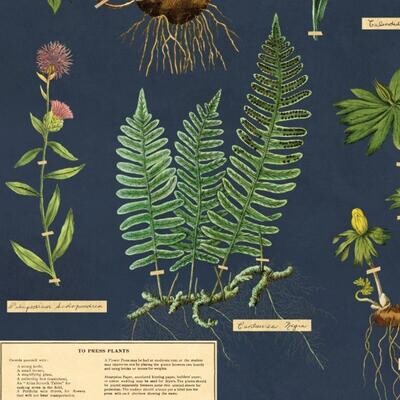 Herbarium Wrap Sheet