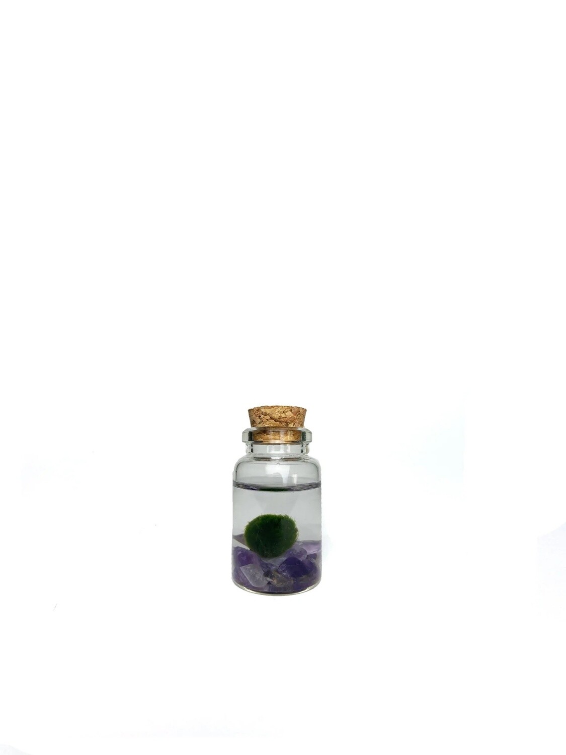 Moss Nino Amethyst