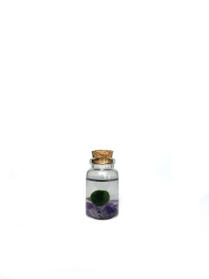 Moss Nino Amethyst