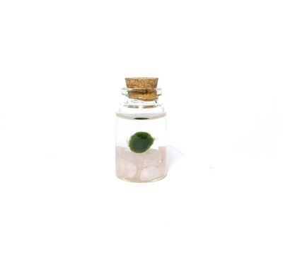 Moss Nino Rose Quartz