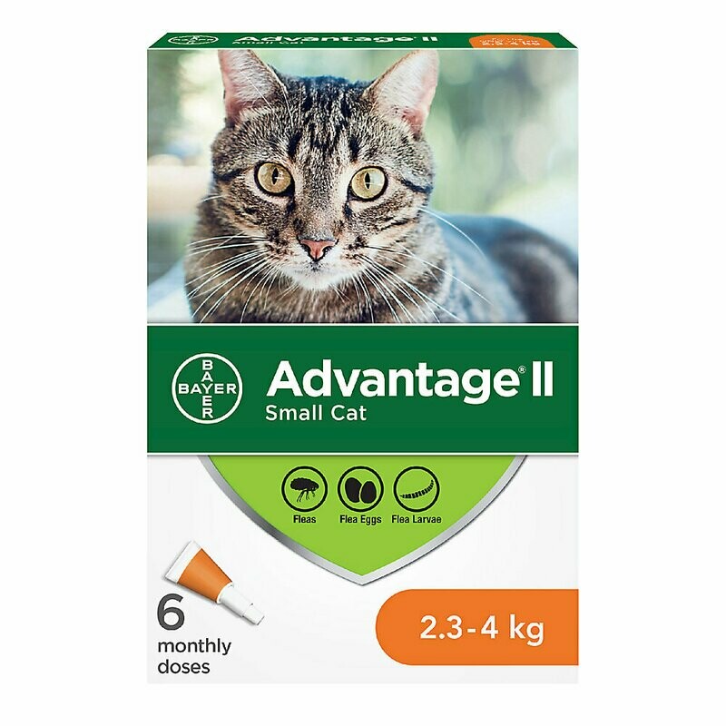 Advantage II Cat Topical Flea Treatment 2.3-4kg