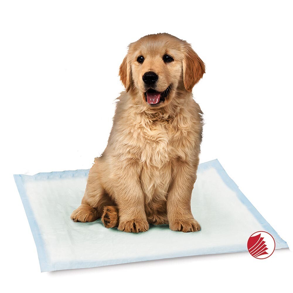 Simply Essential Training/Pee Pads