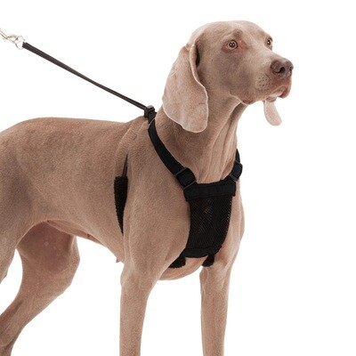 Sporn Dog Harness Non-Pull Mesh Black