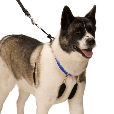 Sporn Dog Harness Anti-Pull Black