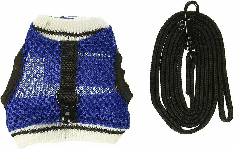 Ware Small Animal Sporty Jogging Vest + Leash