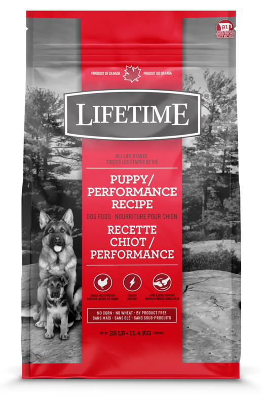 Lifetime Dog Food Puppy/Performance Chicken & Oatmeal 11.4kg