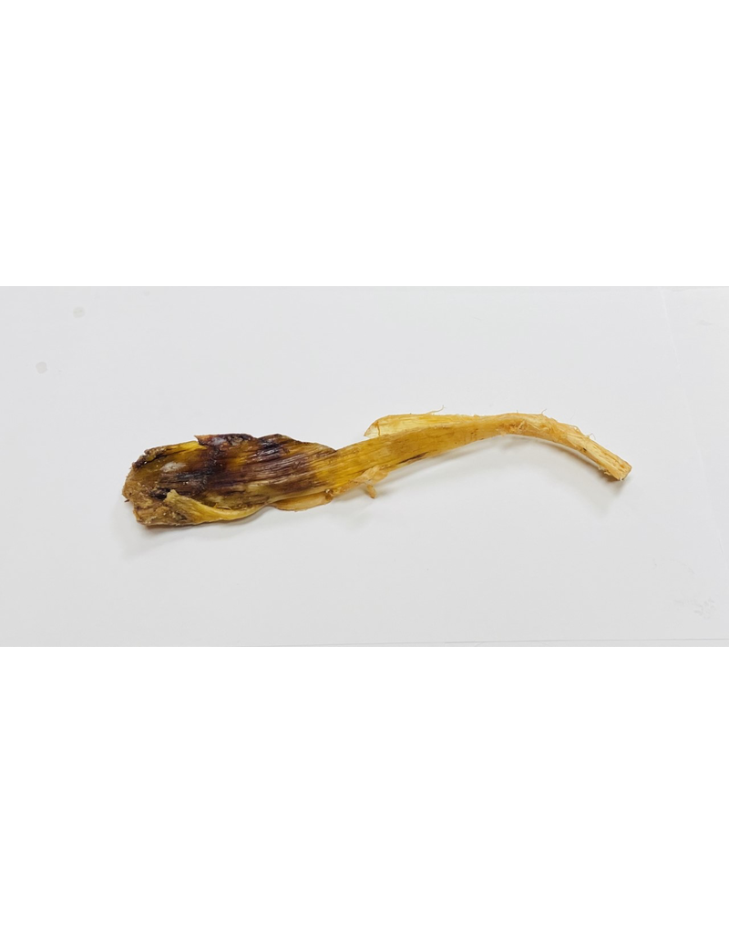 Artisan Farms Smoked Dehydrated Beef Tendons, Size: Short 9-10"