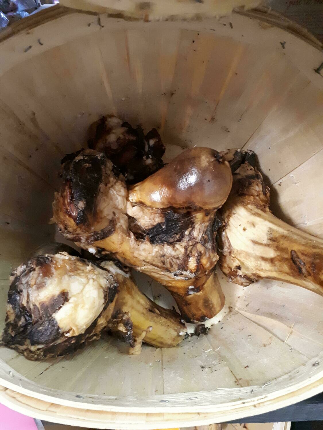 Artisan Farms Smoked Toma-Hock Bones (Half-Dino)