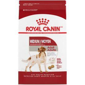 Royal Canin Dog Food Medium Breed Adult