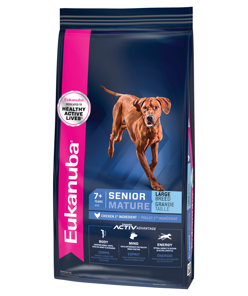 best automatic dog feeder with camera