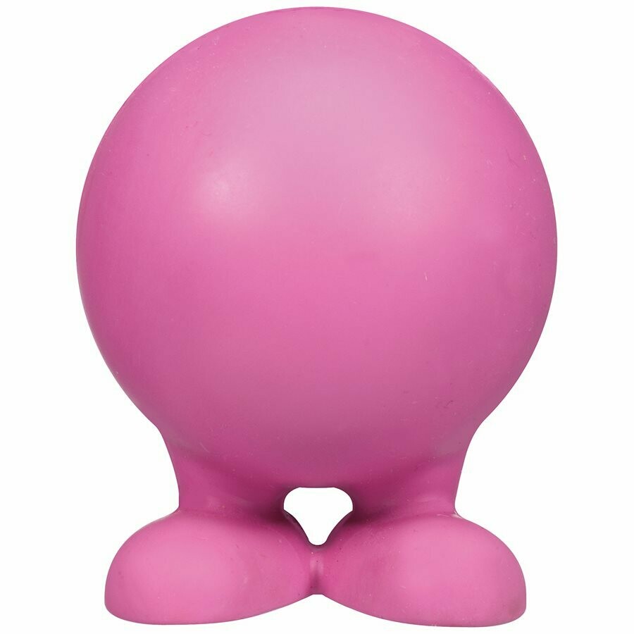 JW Good Cuz Dog Toy S