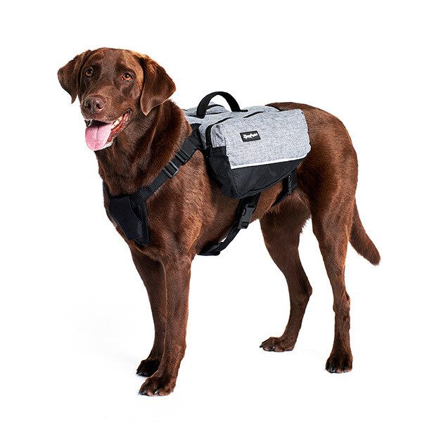 ZippyPaws Adventure Backpack