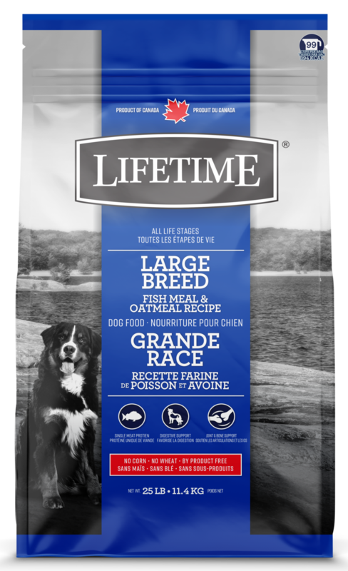 Lifetime Dog Food Large Breed Fish & Oatmeal 11.4kg