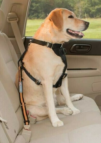 Kurgo Direct to Seat Belt Tether