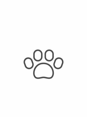 Paw Protection & Booties