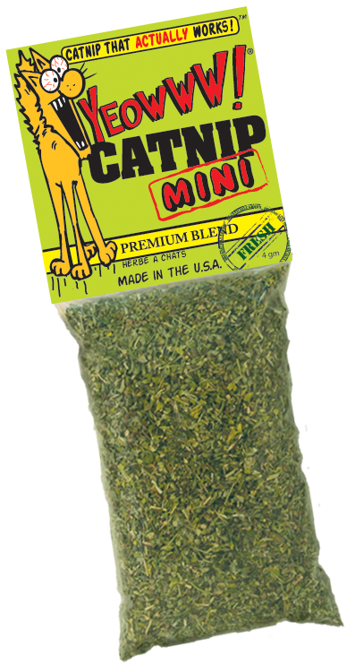 Yeowww! Catnip