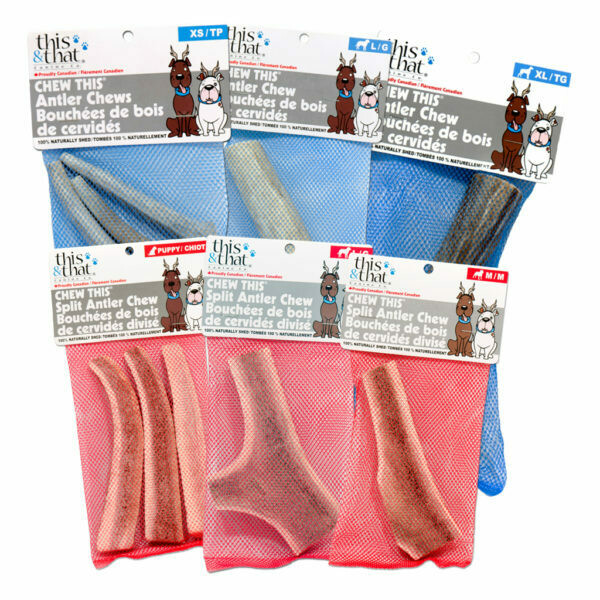 This & That Canine Co. Antler Chews