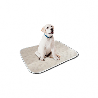 Pooch Pad Reusable Absorbent Potty Pads