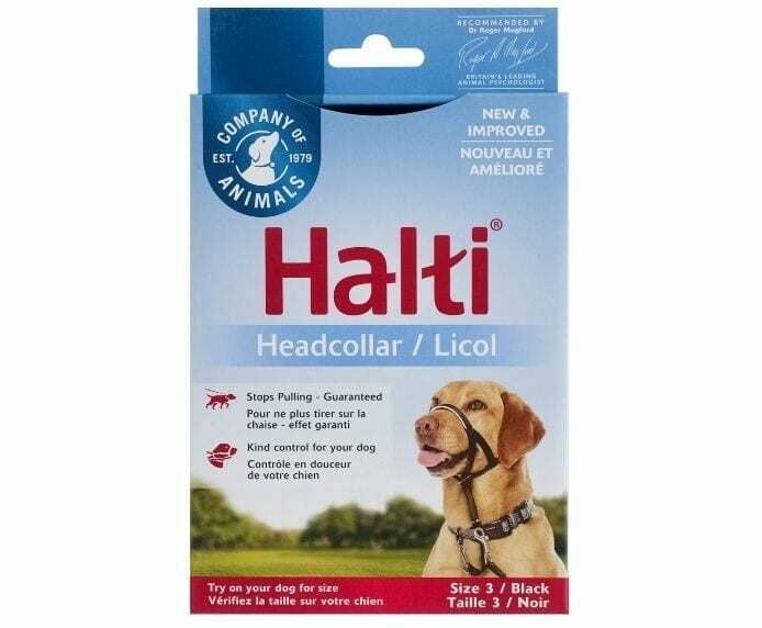 Company of Animals Halti Headcollar Black