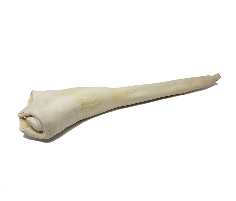 Open Range Bull Tails
