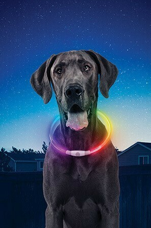 Nite Ize NiteHowl Rechargeable LED Safety Necklace
