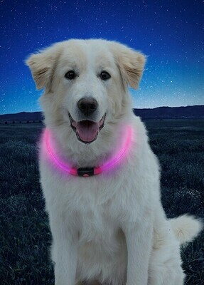 Nite Ize NiteHowl LED Safety Necklace