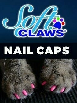 SoftClaws Nail Caps for Cats