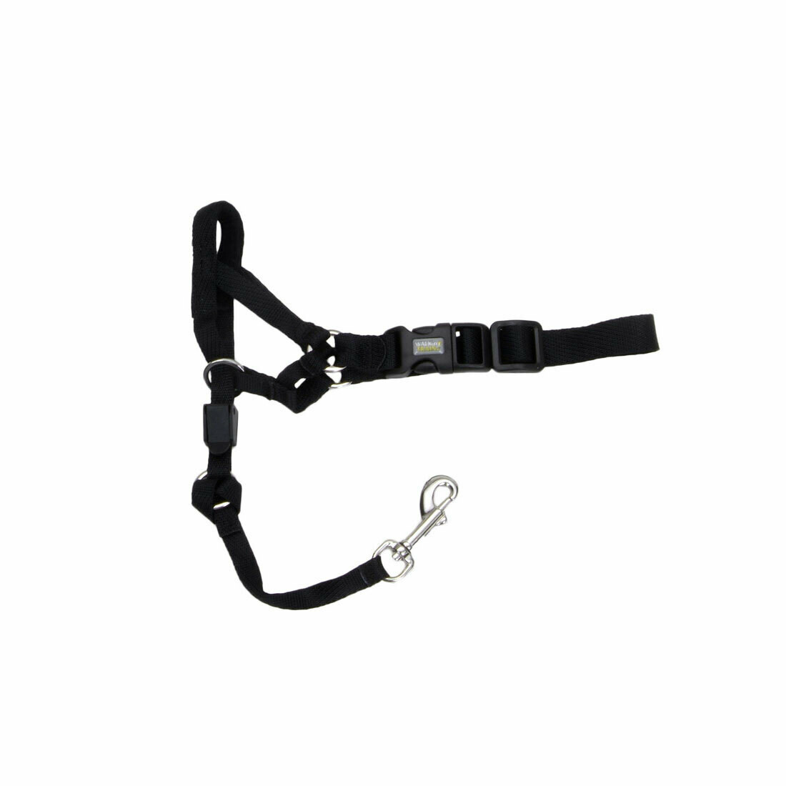 Coastal Walk 'n Train! Head Halter