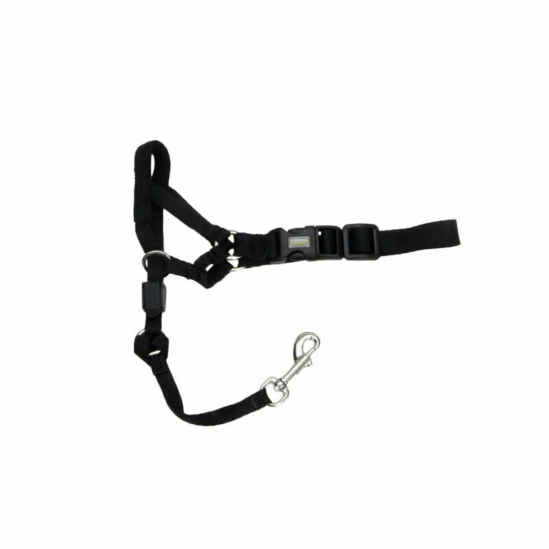 Coastal Walk 'n Train! Head Halter
