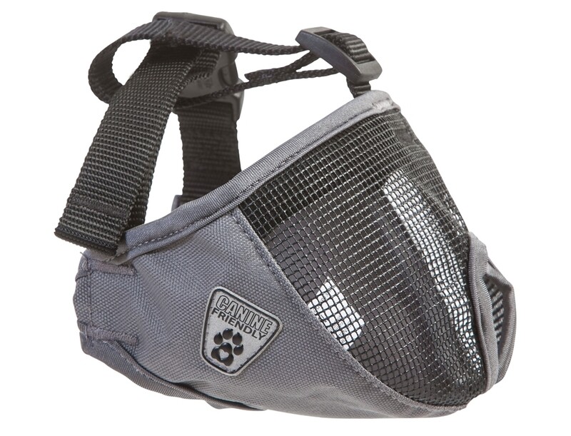 RC Pets Short Snout Muzzle