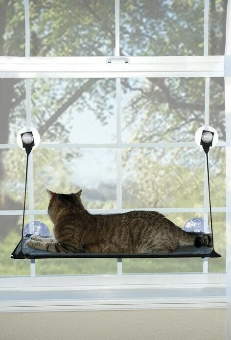 Kitty sill top ez window mount
