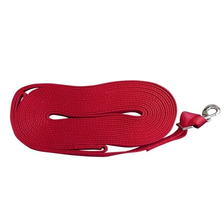 Shedrow K9 Long Lead 30'