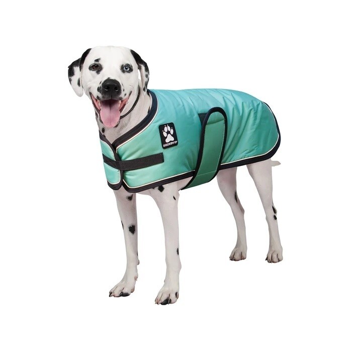 Shedrow K9 Tundra Dog Coat Neo Mint with Grey Trim