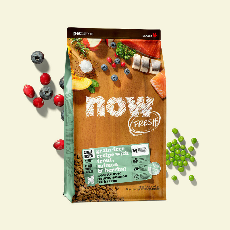 NOW FRESH Dog Food Grain-Free Small Breed Adult Fish