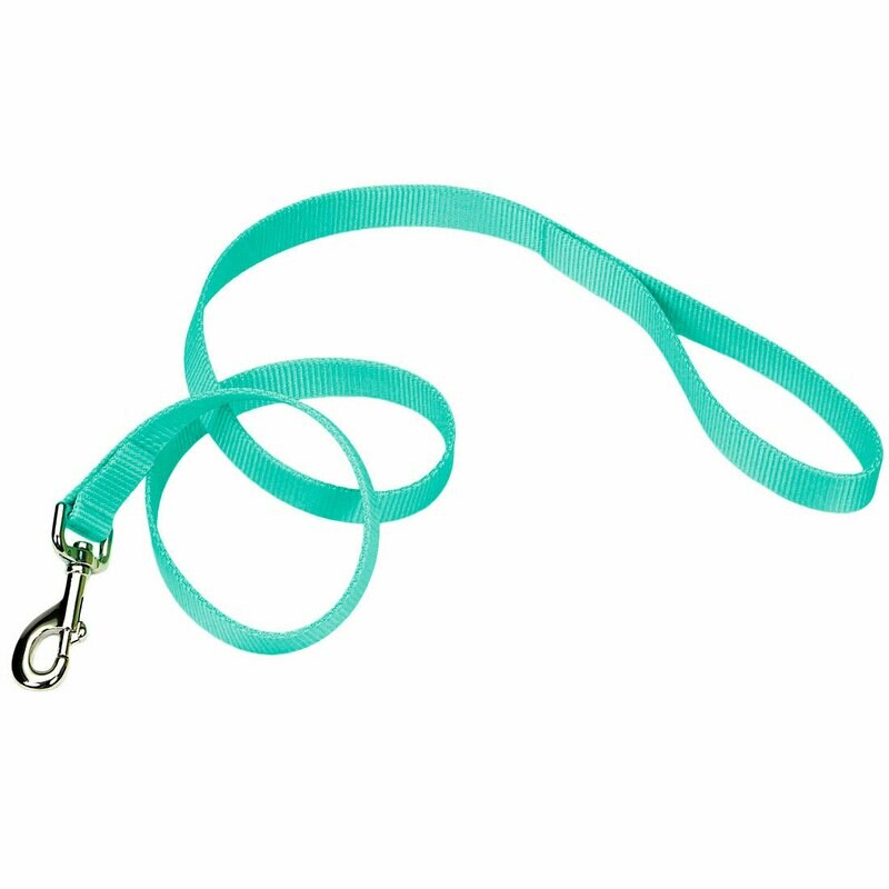 Coastal Single Ply Nylon Dog Leash 6'