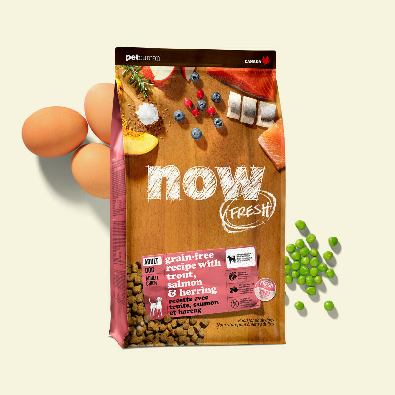 NOW FRESH Dog Food Grain-Free Adult Fish 1.59kg NOW FRESH Dog Food Grain-Free Adult Fish 1.59kg