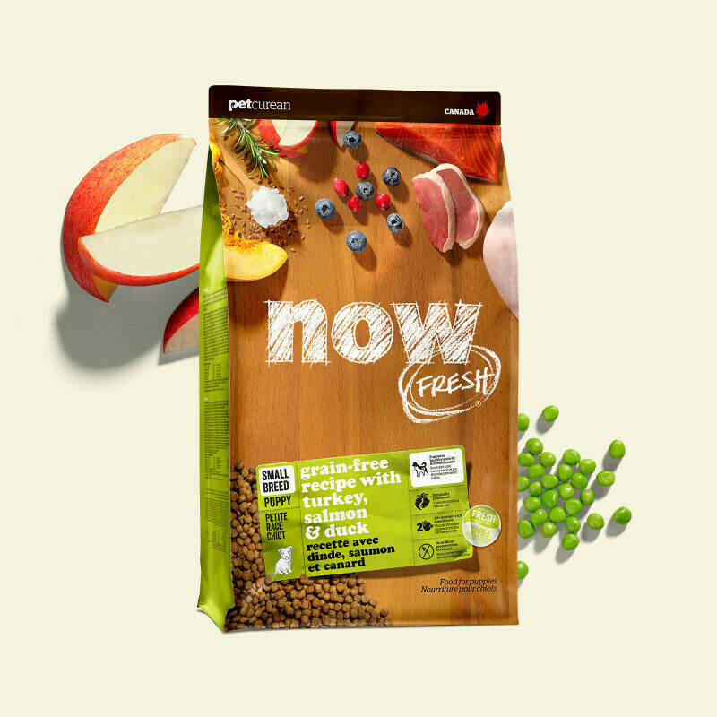 NOW FRESH Dog Food Grain-Free Small Breed Puppy