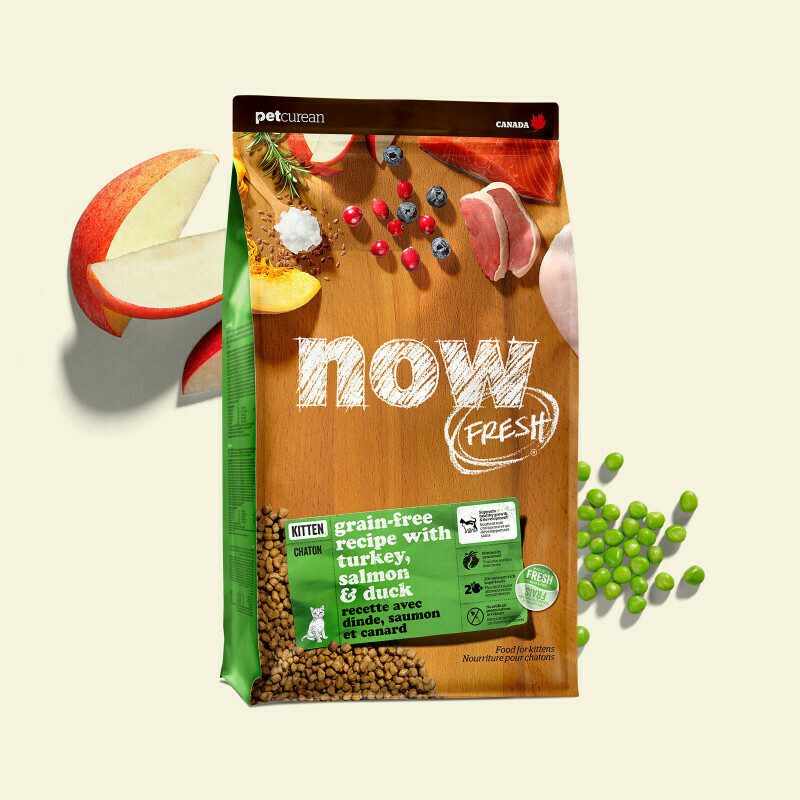 NOW FRESH Cat Food Grain-Free Kitten