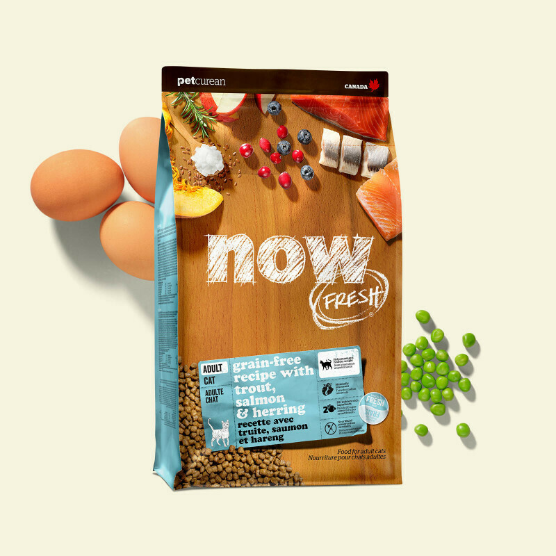 NOW FRESH Cat Food Grain-Free Adult Fish 1.36kg NOW FRESH Cat Food Grain-Free Adult Fish 1.36kg
