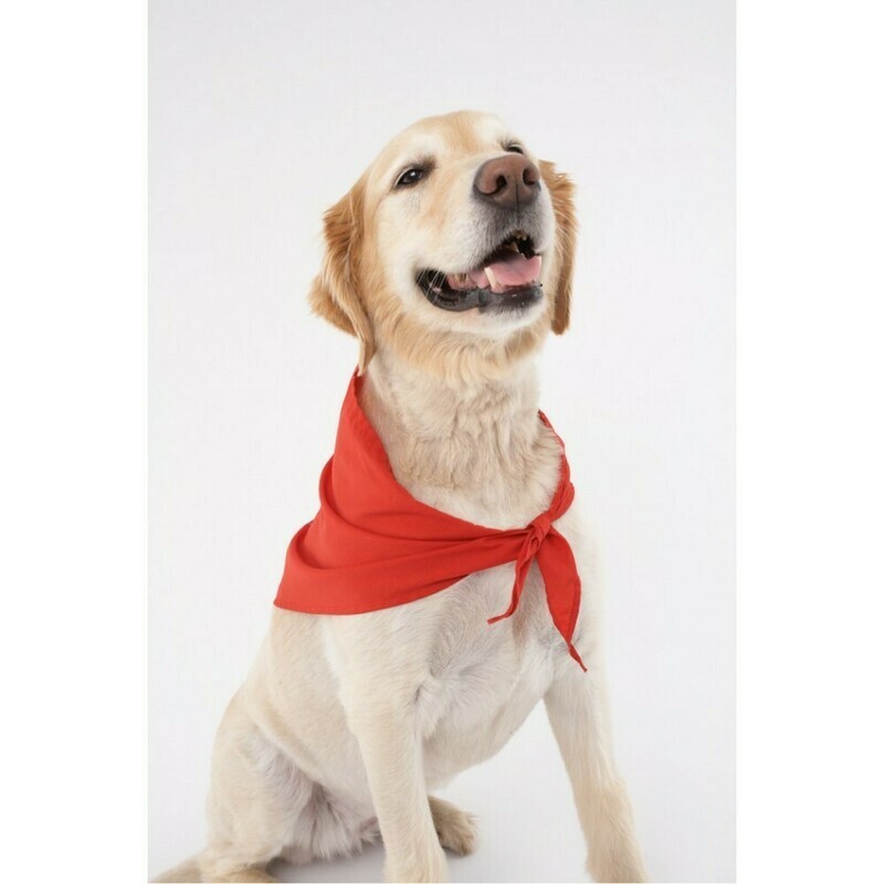 Doggles Insect Shield Bandana Red