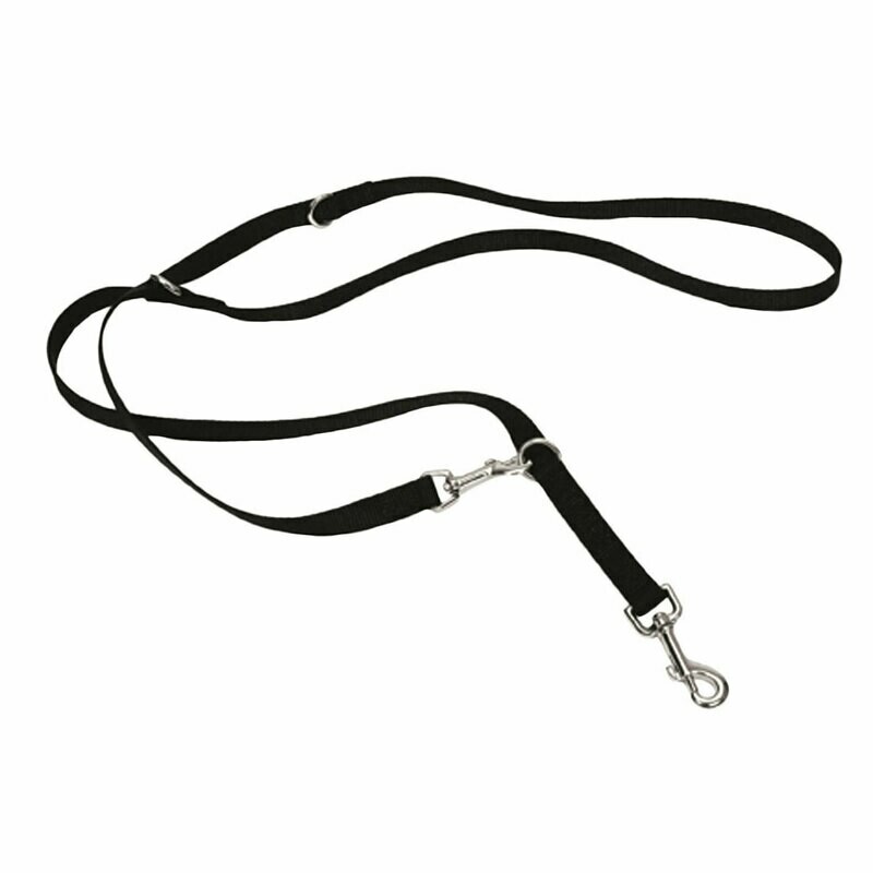 Coastal Multi-Function Leash