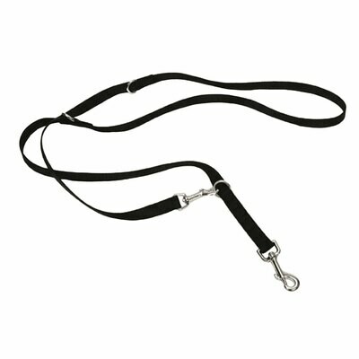 Coastal Multi-Function Leash